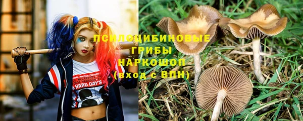 ПСИЛОЦИБИНОВЫЕ ГРИБЫ Алзамай