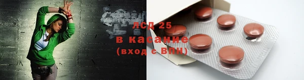 ПСИЛОЦИБИНОВЫЕ ГРИБЫ Алзамай