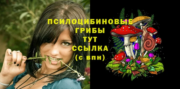 ПСИЛОЦИБИНОВЫЕ ГРИБЫ Алзамай