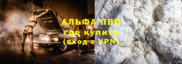 стаф Алексин