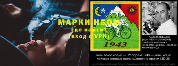стаф Алексин