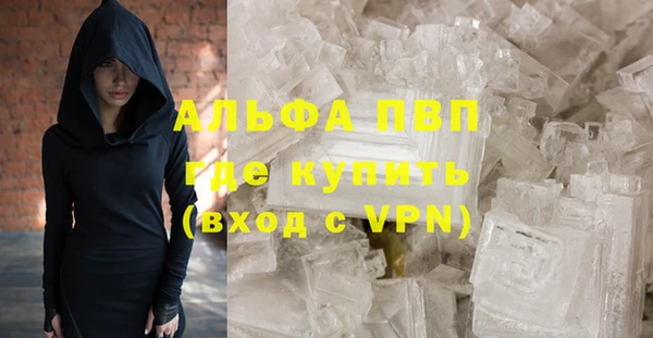 стаф Алексин