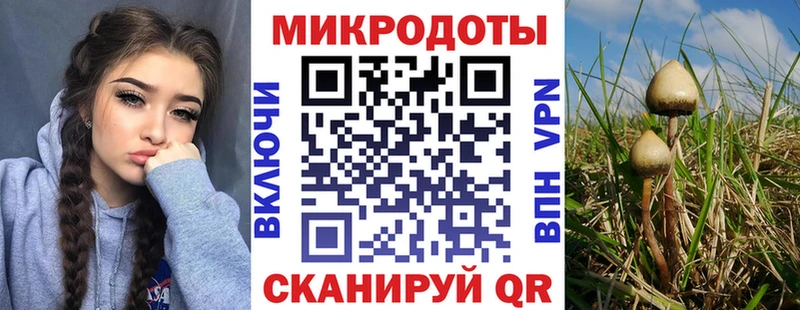 кракен сайт  Новокубанск  Галлюциногенные грибы MAGIC MUSHROOMS 