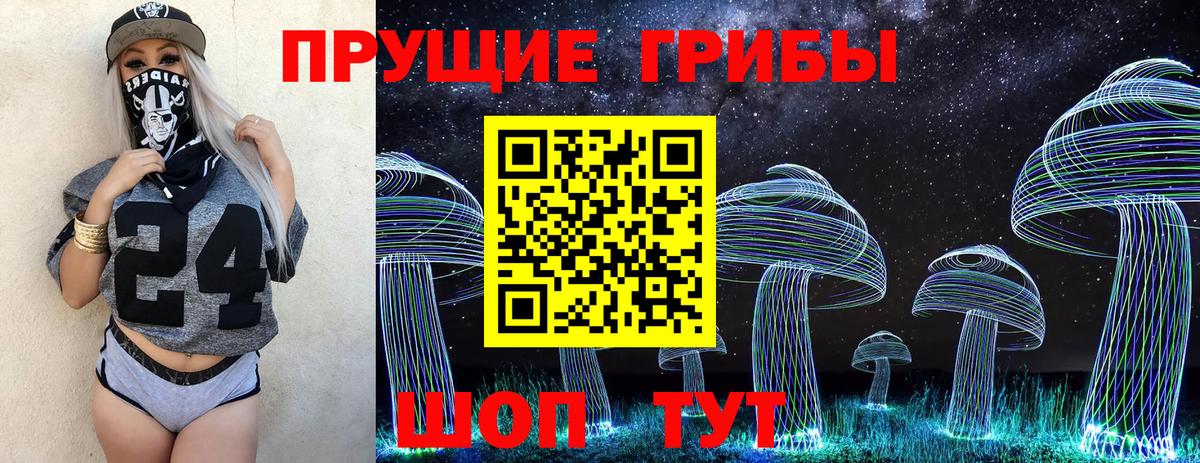 Новокубанск  Псилоцибиновые грибы Magic Shrooms  Вход с VPN 